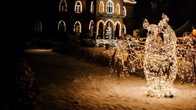 Mit Schwung ins neue Jahr