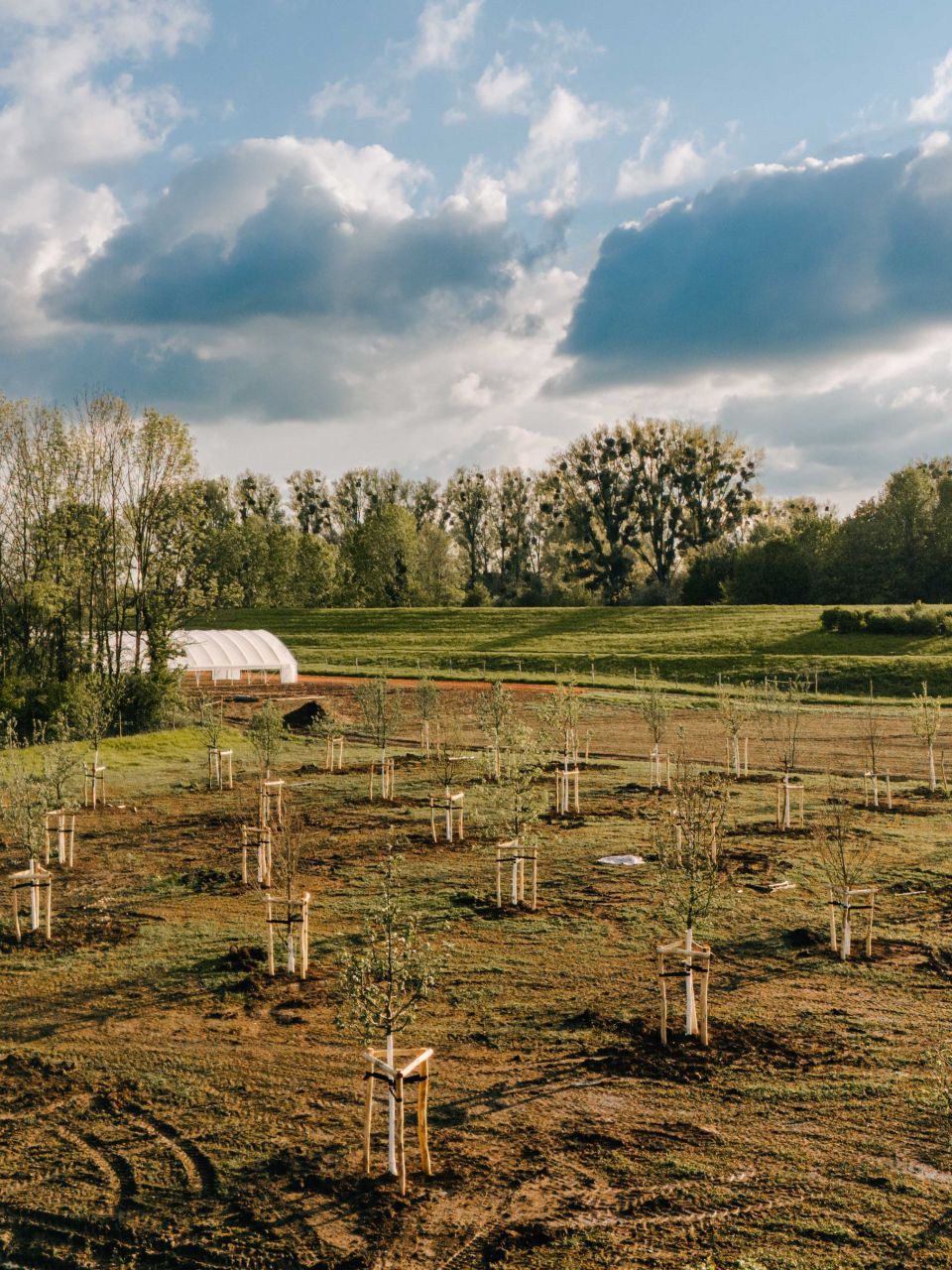 Baumpatenschaften auf dem Marienhof!
