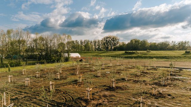 Baumpatenschaften auf dem Marienhof!