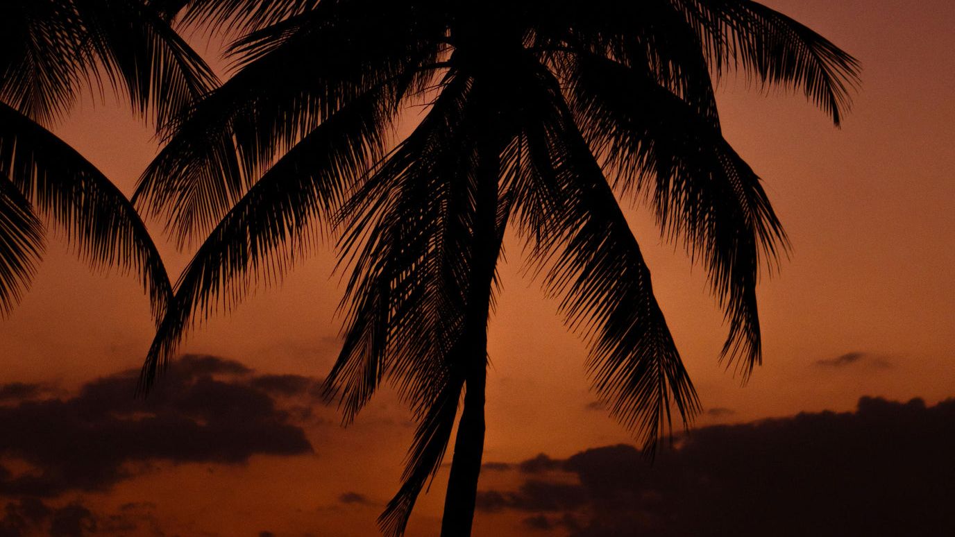 kubanische nacht pexels