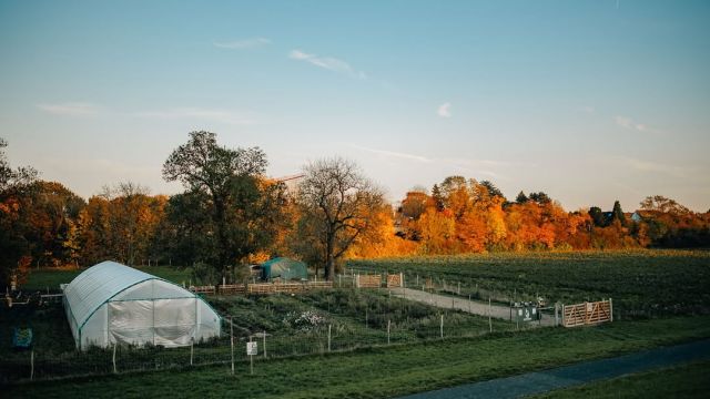 Heute mal handfeste Zahlen
